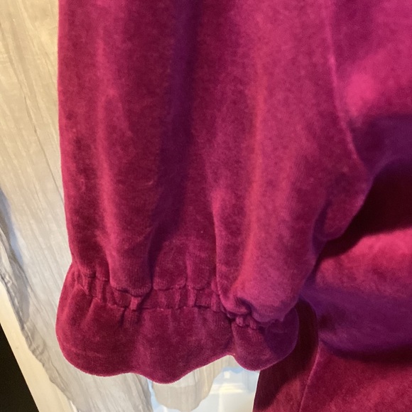 Vintage 1990s Fuscia Velvet Top from Express - Picture 4 of 7